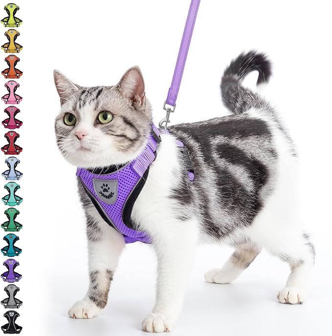 PUPTECK Cat Harness and Leash Set Escape Proof Reflective Cat Walking Harness Adjustable Soft Breathable Mesh Vest for Small Pets, Purple, M