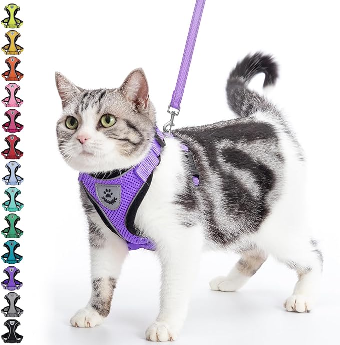 PUPTECK Cat Harness and Leash Set Escape Proof Reflective Cat Walking Harness Adjustable Soft Breathable Mesh Vest for Small Pets, Purple, S