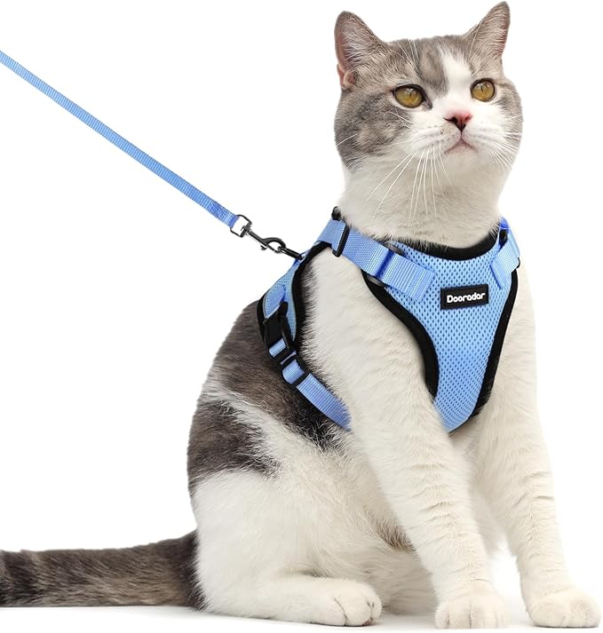 Dooradar Cat Harness and Leash Set, Escape Proof Safe Adjustable Kitten Vest Harnesses for Walking, Easy Control Soft Breathable Mesh Jacket with Reflective Strips for Cats, Light Blue, M