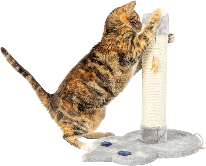 Aeromark X1801 Armarkat Mouse Shape Scratcher, 19"(L) X11(W) X19(H),Grey