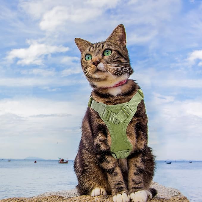 Tactical Cat Harness for Walking Escape Proof, Adjustable Pet Vest Harness, Soft Mesh with Control Handle for Large Cat Small Dog, Gift with Patch