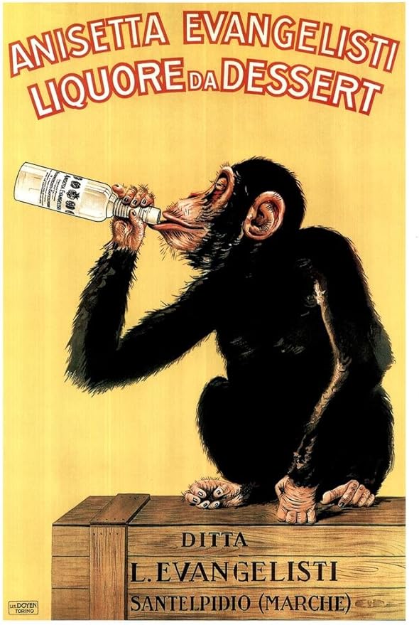 Anisetta Evangelisti Liquore Da Dessert by Carlo Biscaretti 1925 Vintage Alcohol Liquor Bottle Italian Advertising Drinking Monkey Chimpanzee Cool Wall Art Print Poster 24x36