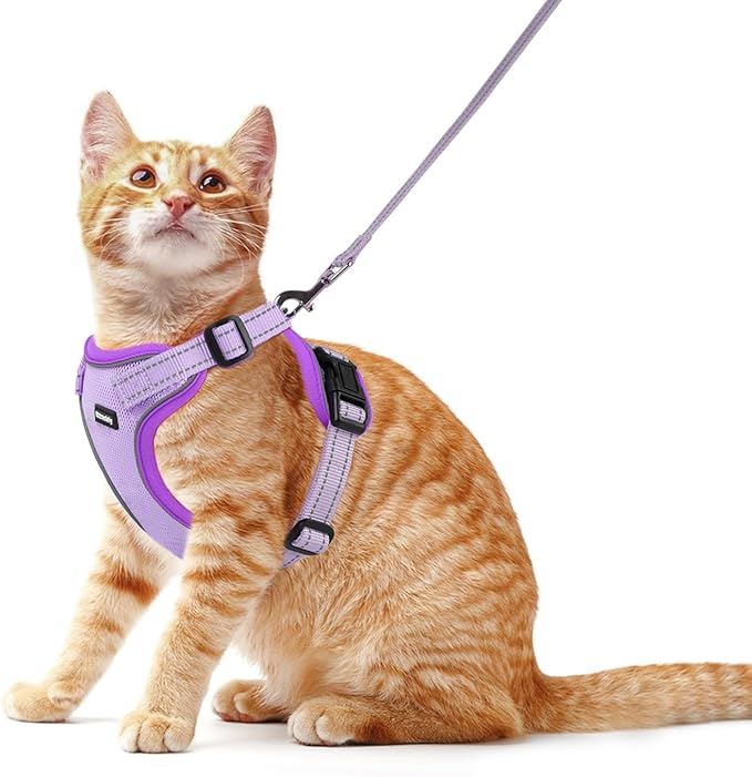 Rttochfy Cat Harness and Leash Set, Adjustable and Reflective Cat Vest, Escape Proof Kitten Harness, Easy to Put on with 3 Buckles for Cats Walking and Traveling (Purple, M)