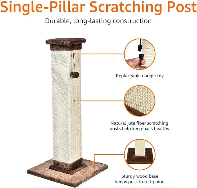 Amazon Basics - Indoor, Tall Cat & Kittens Scratching Post, Scratcher with Sisal Rope, Jute Fiber, Brown Carpet, Large, 15.75" L x 15.7" W x 35.43" H