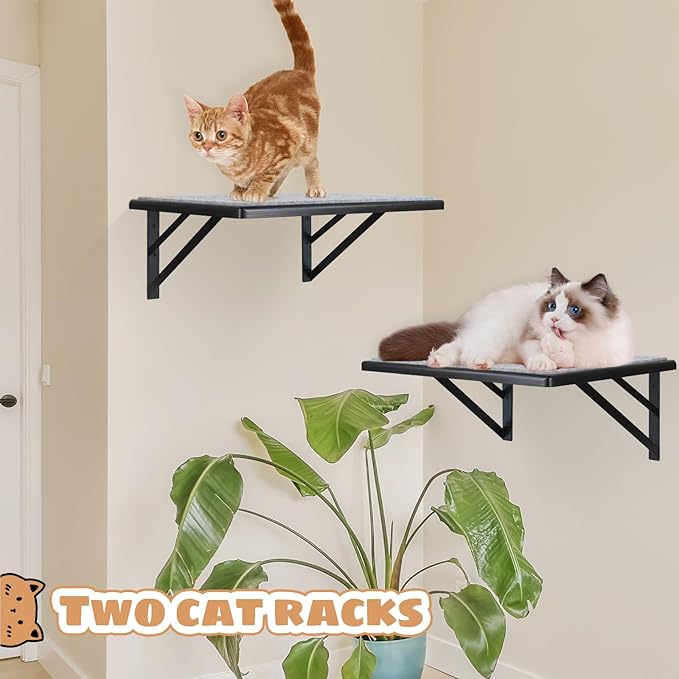 Cat Wall Shelves Set of 2, Wood Cat Shelves for Wall, Cat Wall Bed Hammock with Scratching Pad, Cat Climbing Shelf for Sleeping Playing, Cat Window Perch for Large Cats, Black Cat Furniture for Indoor