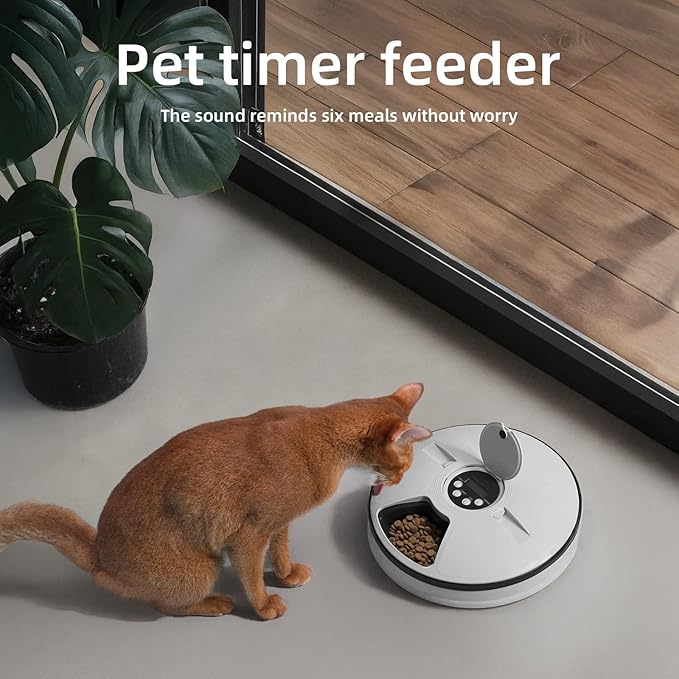 Automatic Cat Feeder, 1L Timed Cat Feeder with Time Setting 24 Hours at Most, Up to 6 Meals, Granary Pet Feeder for Little Cats Little Dogs