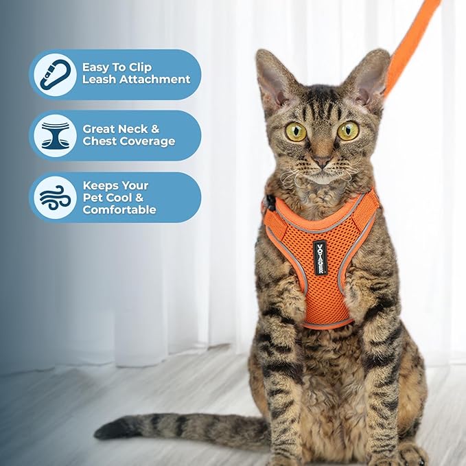 Voyager Escape Proof Cat Harness and Leash Set with Reflective Stitching, Neoprene Handle 5ft - Supports Small, Medium and Large Cats, Kittens for Walking by Best Pet Supplies - Orange, XS