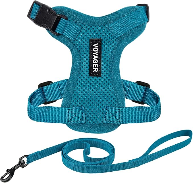 Voyager Step-in Lock Adjustable Cat Harness w. Cat Leash Combo Set with Neoprene Handle 5ft - Supports Small, Medium and Large Breed Cats by Best Pet Supplies - Turquoise, S