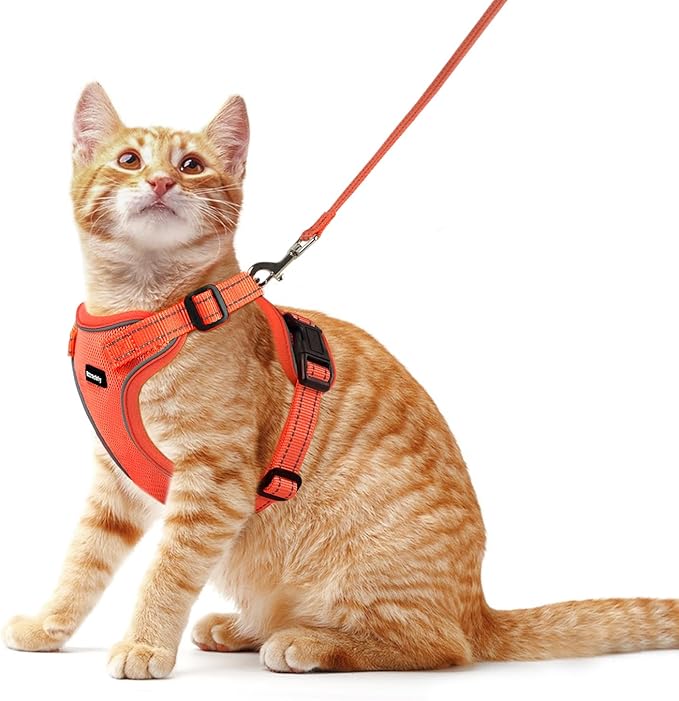 Rttochfy Cat Harness and Leash Set, Adjustable and Reflective Cat Vest, Escape Proof Kitten Harness, Easy to Put on with 3 Buckles for Cats Walking and Traveling (Orange, L)