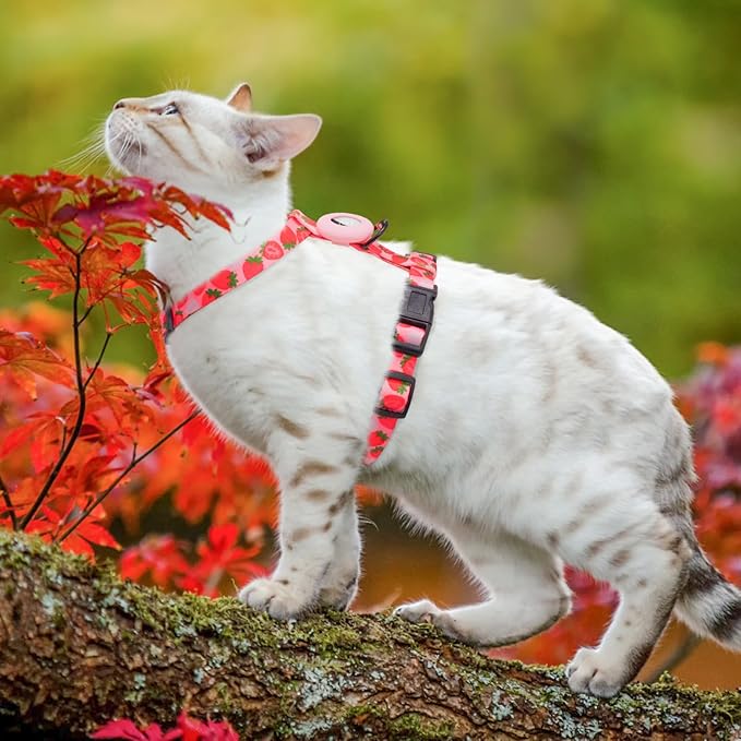 SCENEREAL Cat Harness and Leash Set Escape Proof with Airtag Holder, Adjustable Kitten Big Cats Vest Harness for Walking Outdoor Indoor, Adjustable Soft Strip for Small Large Cats Boys Girls Puppy