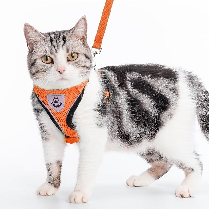 PUPTECK Cat Harness and Leash Set Escape Proof Reflective Cat Walking Harness Adjustable Soft Breathable Mesh Vest for Small Pets, Orange, M