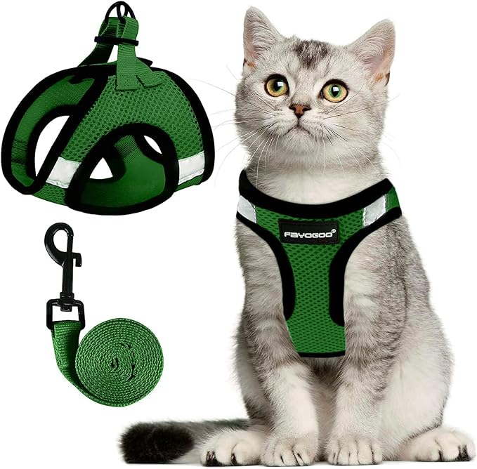 FAYOGOO Cat Harness, Cat Leash and Harness Set for Walking Escape Proof, Harness for Small Cats/Small Dogs, Large Kitten/Puppy Harness and Leash, Harness for Cats S-XXL(Neon Green, Small)