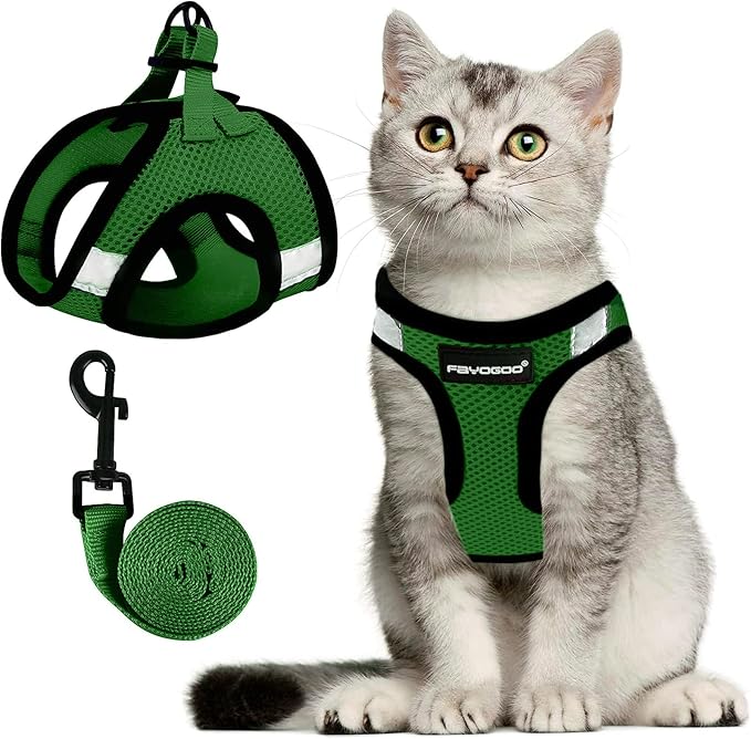FAYOGOO Cat Harness, Cat Leash and Harness Set for Walking Escape Proof, Harness for Small Cats/Small Dogs, Large Kitten/Puppy Harness and Leash, Harness for Cats S-XXL(Neon Green, Medium)