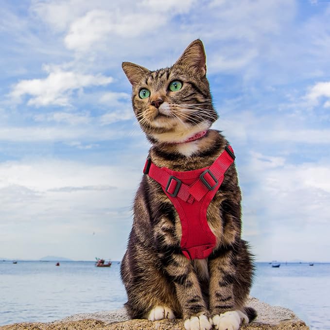 Tactical Cat Harness for Walking Escape Proof, Adjustable Pet Vest Harness, Soft Mesh with Control Handle for Large Cat Small Dog, Gift with Patch
