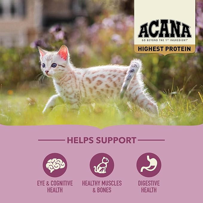 ACANA Highest Protein Dry Cat Food for Kittens, Poultry and Fish Cat Food, 4lb