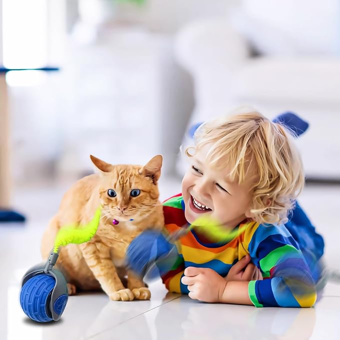 Aerbee Interactive Cat Toys for Indoor Cats, Electric Cat Ball Fast Rolling in Pouch, Motion Activate Chirping Cat Toy Hide and Seek Mouse Catching Game, 28 Inch Play Mat