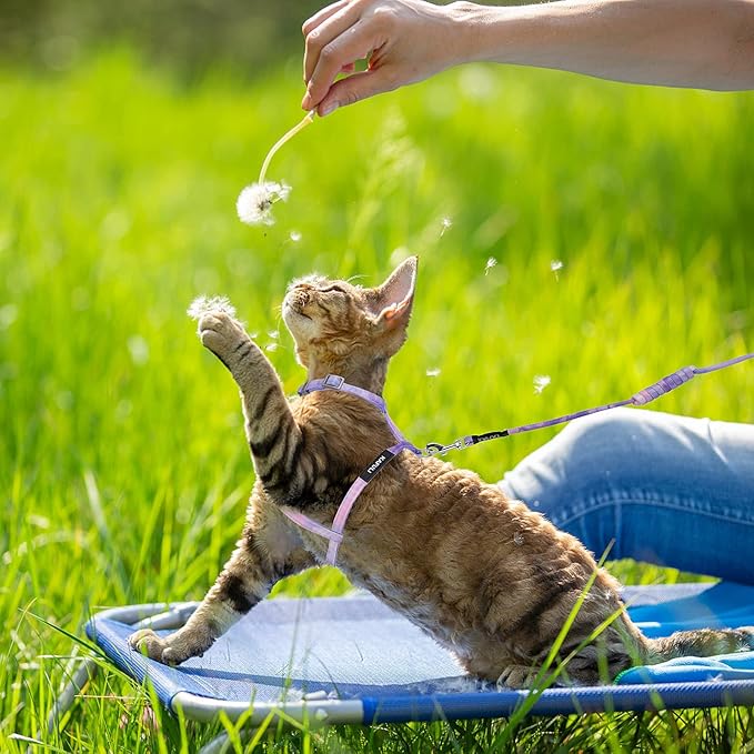 TIESOME Cat Harness and Leash Set, Adjustable Gradient Kitten Harness Escape Proof Harness with Leash for Kitty Outdoor Walking (Gradient Purple)