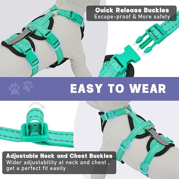 Cat Harness for Walking, Escape Proof Cat Harness and Leash Set with Reflective Strip, Adjustable Cat Leash Breathable Soft Vest for Small to Large Cats, Green, S