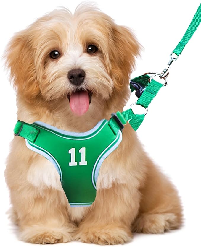 Reflective Dog Harness Breathable Adjustable Pet Harness with Handle for Outdoor Walking,Easy Control for Small,Medium Breeds (Green,S)