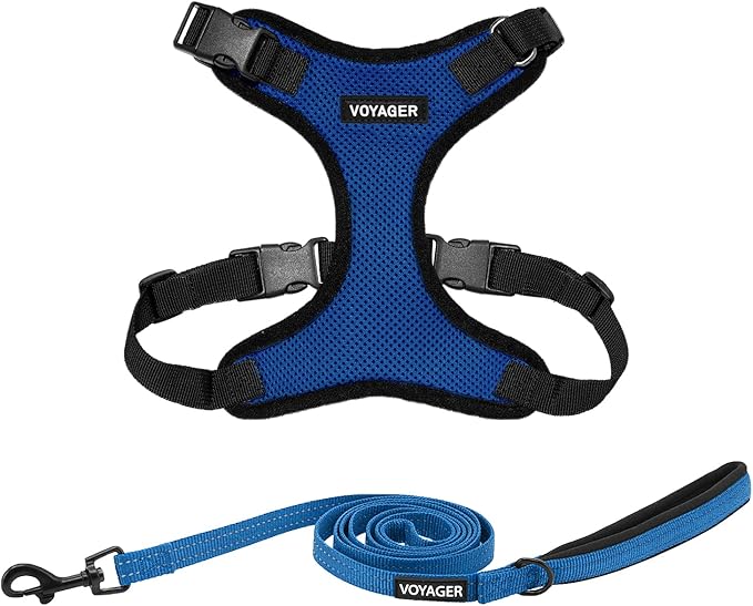 Voyager Step-in Lock Dog Harness w Reflective Dog Leash Combo Set with Neoprene Handle 5ft - Supports Small, Medium and Large Breed Puppies/Cats by Best Pet Supplies - Royal Blue/Black Trim, XS