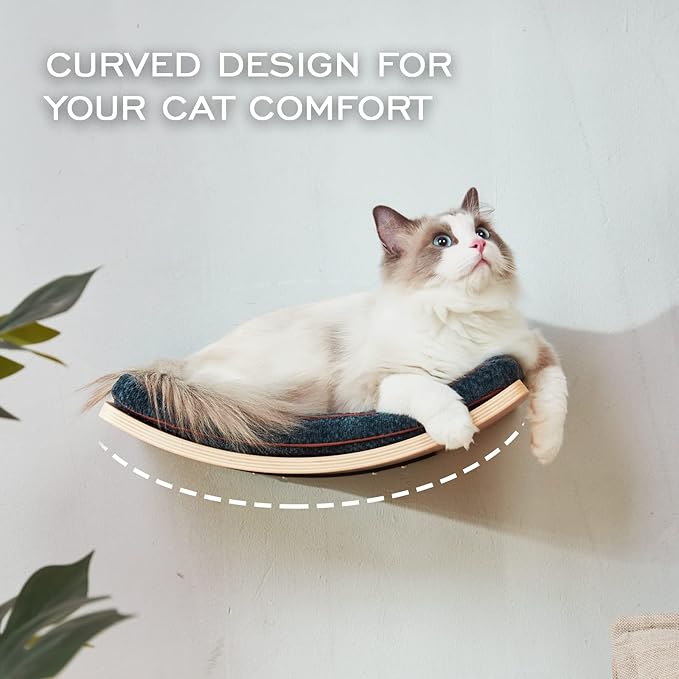 Cat Shelf with Comfortable Cat Cushion - Curved Cat Shelves and Perches for Wall (Medium Size) - Wall Mounted Cat Furniture for Sleeping, Playing, Climbing, and Lounging