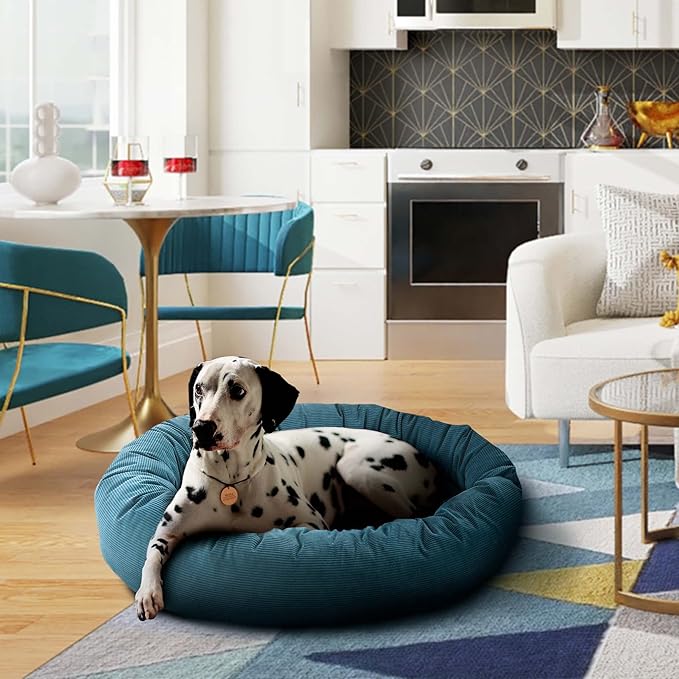 Max & Marlow Human Dog Bed Dog Couch Bed Washable Dog Bed Extra Large Size Dog Bed for Pets, Teal, 50" L x 35" W x 11" Th