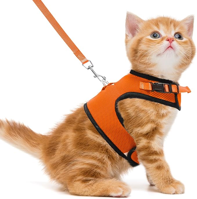 PUPTECK Soft Mesh Cat Vest Harness and Leash Set Puppy Padded Pet Harnesses Escape Proof for Cats Small Dogs Rabbits Bunny, Orange M