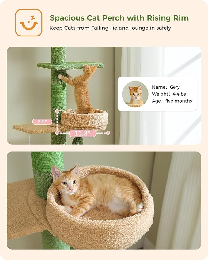 PETEPELA Floor to Ceiling Cat Tree [87"-100"] Height Adjustable, 5 Levels Cactus Cat Tower with Cat Perch&Replaceable Hammock(Visible Acrylic Bowl), 4.1" Super Robust Cat Scratcher Green