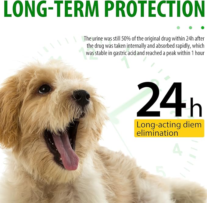 Antibiotics for Dogs, Dog Antibiotics, Dog Supplies Antibiotics, Natural Dog Antibiotics Supports Dog Allergy and Itch Relief, Dog Multivitamin for Pets-60ml / 2 Fl Oz