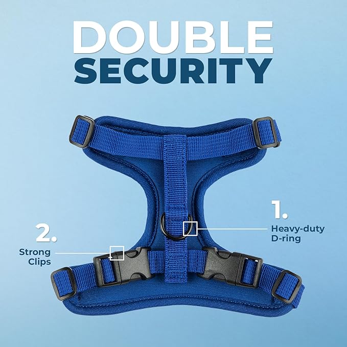 Voyager Escape Proof Cat Harness and Leash Set with Reflective Stitching, Neoprene Handle 5ft - Supports Small, Medium and Large Cats, Kittens for Walking by Best Pet Supplies - Royal Blue, XXXS