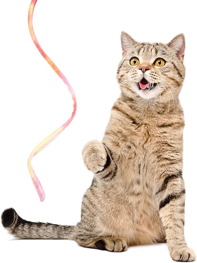 3 Pieces Jungle Cat Wand Cat Teaser Charmer Interactive Cat Toys Wand Fun Cat Kitten Kitty Playing Toy, 3 Styles (Charming Color)