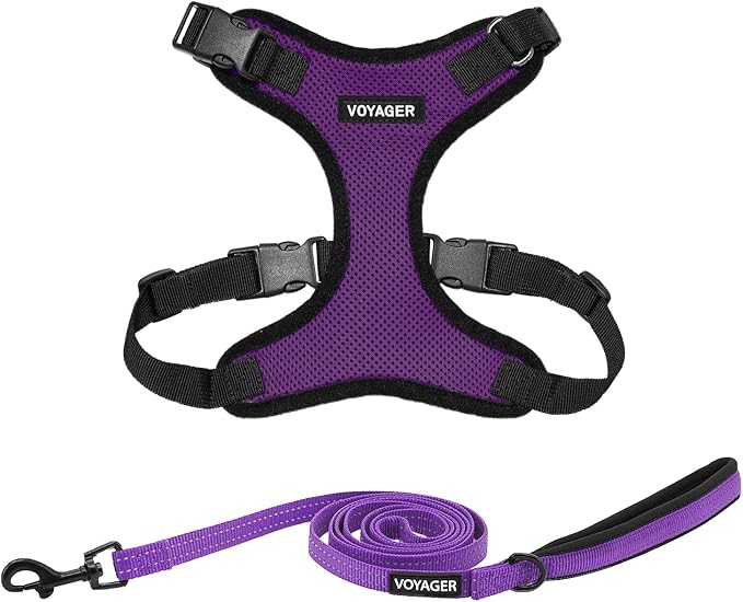 Voyager Step-in Lock Dog Harness w Reflective Dog Leash Combo Set with Neoprene Handle 5ft - Supports Small, Medium and Large Breed Puppies/Cats by Best Pet Supplies - Purple/Black Trim, L