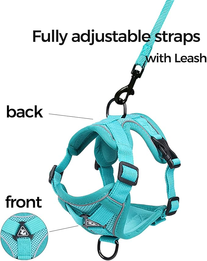 Cat Harness and Leash Set Escape Proof Tactical Small Kitten Harness Emotional Support Cat Vest, Turquoise, S