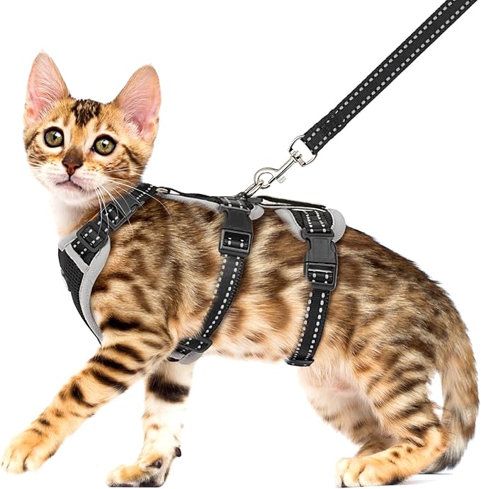 Cat Harness for Walking, Escape Proof Cat Harness and Leash Set with Reflective Strip, Adjustable Cat Leash Breathable Soft Vest for Small to Large Cats, BlackGrey, M