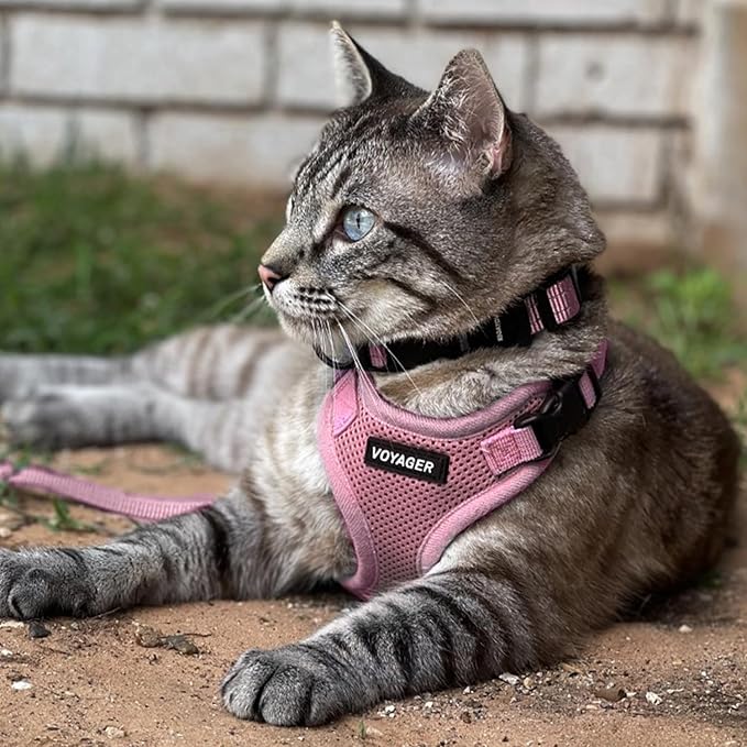 Voyager Step-in Lock Dog Harness w Reflective Dog Leash Combo Set with Neoprene Handle 5ft - Supports Small, Medium and Large Breed Puppies/Cats by Best Pet Supplies - Pink, M