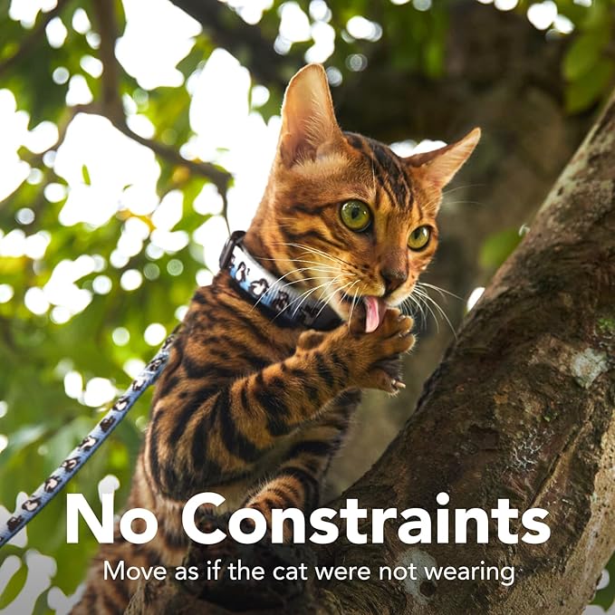 Cat Harness and Leash Set - Escape Proof Vest Harness for Cat, Comfortable Soft Lightweight, Easy Adjustable Cat Collar Harness for Small Medium Large Cats (Glacier Penguin)