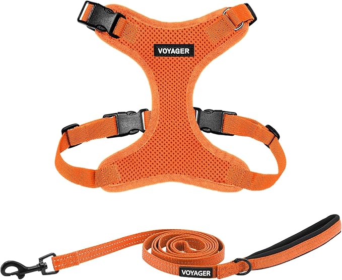 Voyager Step-in Lock Dog Harness w Reflective Dog Leash Combo Set with Neoprene Handle 5ft - Supports Small, Medium and Large Breed Puppies/Cats by Best Pet Supplies - Orange, XS