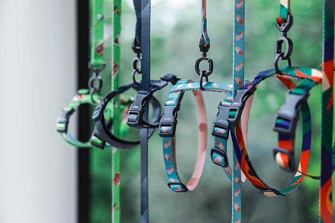 pidan Cat Harness and Leash Set, XL Size for Large Cats, Escape Proof - Adjustable Kitten Harness for Large Small Cats, Lightweight Soft Walking Travel Petsafe Harness (Multicolor-XL Size)
