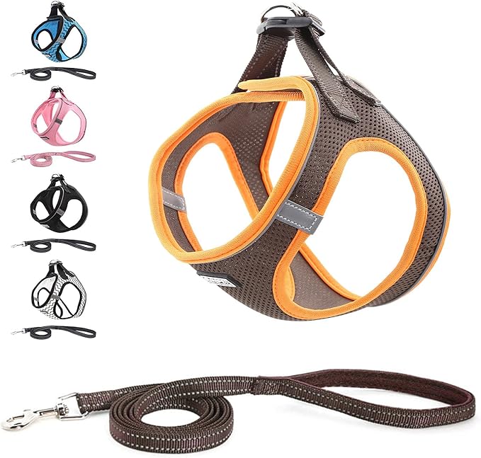 Soft Mesh Dog Harness and Leash Set, Step-in Reflective Breathable Comfort Padded Quick Dry Pet Puppy Vest Harness for Extra-Small/Small Medium Dogs and Cats (Brown, XXS)