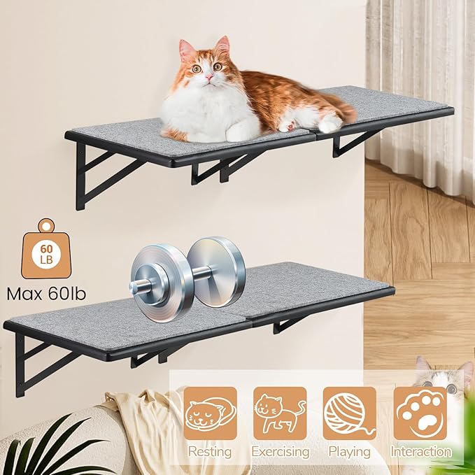 Cat Wall Shelves Set of 4, Wood Cat Shelves for Wall, Cat Wall Bed Hammock with Scratching Pad, Cat Climbing Shelf for Sleeping Playing, Cat Window Perch for Large Cats, Black Cat Furniture for Indoor