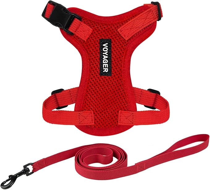 Voyager Step-in Lock Adjustable Cat Harness w. Cat Leash Combo Set with Neoprene Handle 5ft - Supports Small, Medium and Large Breed Cats by Best Pet Supplies - Red, S