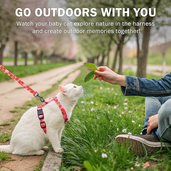 SCENEREAL Cat Harness and Leash Set Escape Proof with Airtag Holder, Adjustable Kitten Big Cats Vest Harness for Walking Outdoor Indoor, Adjustable Soft Strip for Small Large Cats Boys Girls Puppy