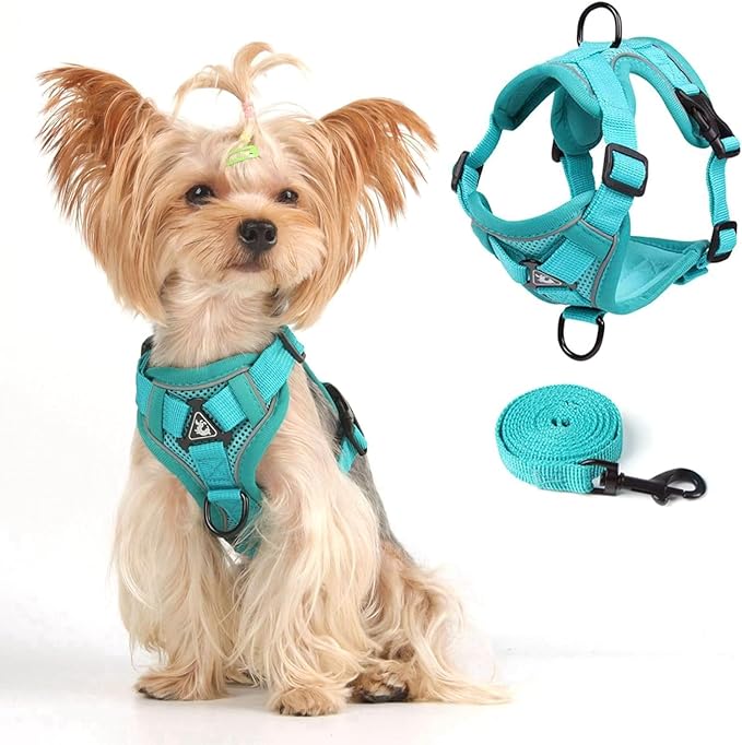 Vest Harness Leash Set for Small Dog Large Cat, Upgraded Escape Proof Adjustable Jacket with Lead for Puppy Fat Cat Outdoor Walking, Soft Breathable Mesh Coat with Reflective Strip for Dark XL Green