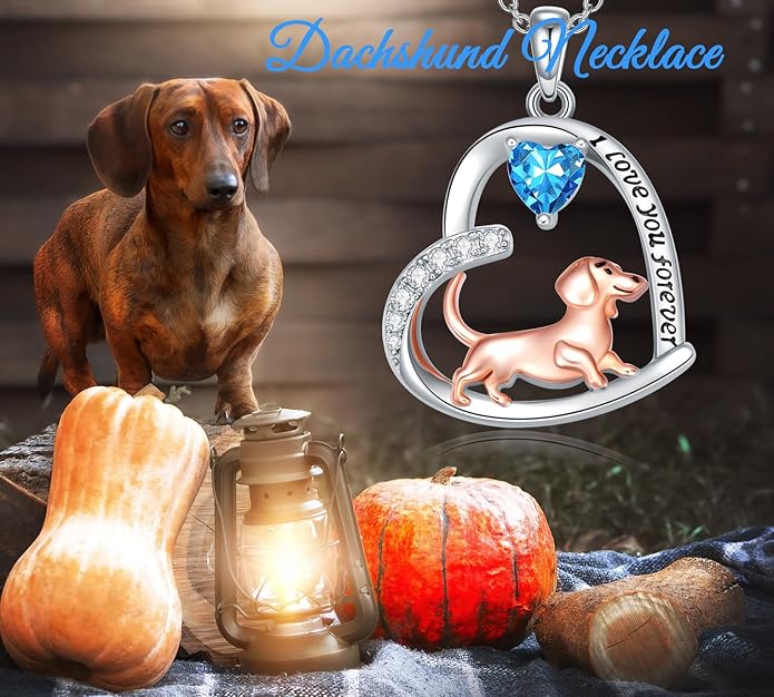 Dachshund Necklace 925 Sterling Silver Dachshund Birthstone Pendant Cute Animal Puppy Dog Dachshund Jewelry Gifts for Women Dachshund Lover