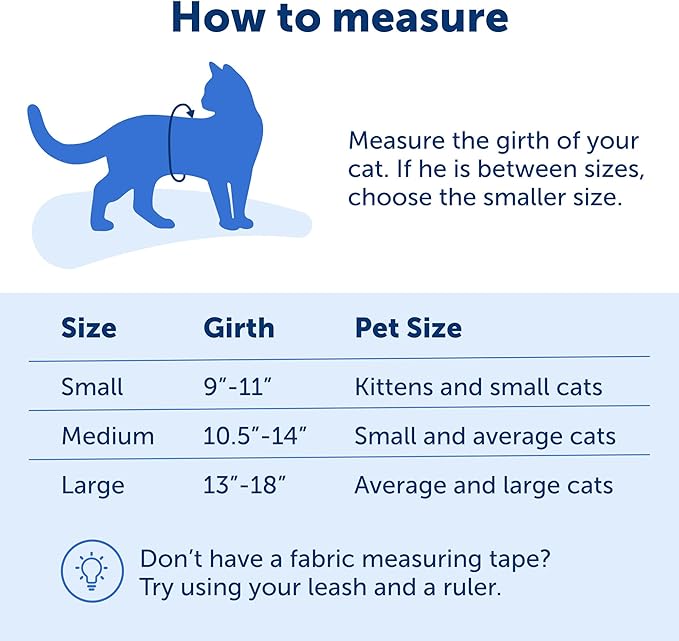 PetSafe Come with Me Kitty Harness and Bungee Leash, Small, Royal Blue