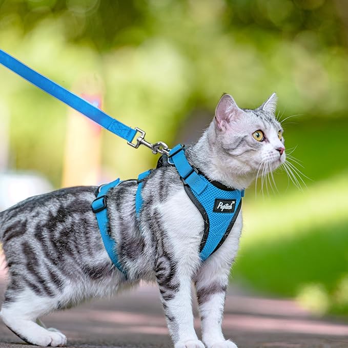 PUPTECK Cat Harness and Leash Set Escape Proof for Walking, Breathable Mash Vest Adjustable Harness for Cats Puppy Small Animals, Reflective at Night, Sky Blue Medium
