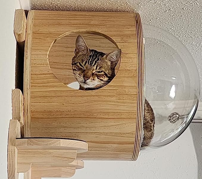 Wall-Mounted Cat Bed Furniture Round Space Capsule Acrylic Cat Perch Steps Cat Wooden Shelf Cat Lover Gift Cat Tree Tower-Classic Style-1
