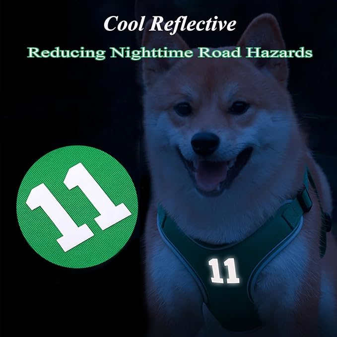 Reflective Cat Dog Harness Breathable Adjustable Pet Harness with Handle for Outdoor Walking,Easy Control for Small,Medium Breeds (Green,XS)