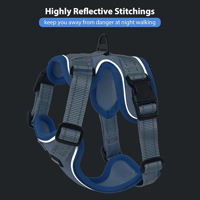 Rttochfy Cat Harness and Leash Set, Adjustable and Reflective Cat Vest, Escape Proof Kitten Harness, Easy to Put on with 3 Buckles for Cats Walking and Traveling (Blue, L)