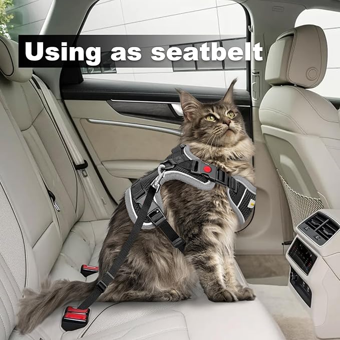 Cat Harness and Leash for Walking, Retractable Cat Harnesses and Leash Set Escape Proof, Breathable Soft Kitten Harness Small Large Cat Harness for Travel Training and Walking, Black, XS